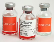 Corning® Matrigel® Growth Factor Reduced (GFR) Basement Membrane Matrix Phenol Red-Free, LDEV-Free, pack of 10 mL