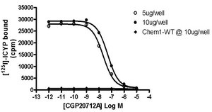 ChemiScreen 膜製剤 組換えヒト β1 アドレナリン受容体 Human beta 1 GPCR membrane preparation for Radioligand binding Assays &amp; GTPγS binding.