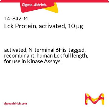Lck Protein, activated, 10 &#181;g activated, N-terminal 6His-tagged, recombinant, human Lck full length, for use in Kinase Assays.