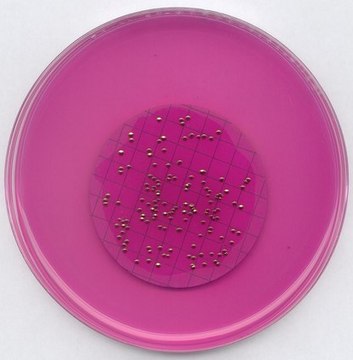 m-ENDO agar LES GranuCult&#174; plus, according to FDA-BAM, SMWW, granular, for coliforms, pkg of 500&#160;g