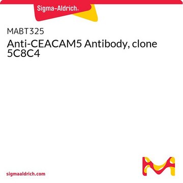 Anti-CEACAM5 Antibody, clone 5C8C4