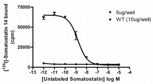ChemiScreen Membrane Preparation Recombinant Human SST4 SOMATOSTATIN RECEPTOR Human sst4 GPCR membrane preparation for Radioligand binding Assays &amp; GTPγS binding.