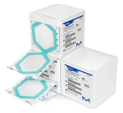 ❤️未使用フィルター 池　ポンプ用濾過材(厚さ25mm) EZ-Pak Filters, 0.45um, 47mm, white gridded