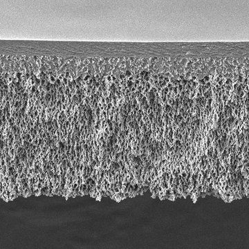 Regenerated Cellulose Membrane Filter, 10 kDa NMWCO Ultracel®, filter diam. 90 mm