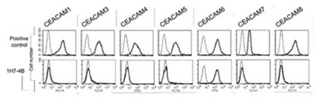 Anti-CEACAM6 Antibody, clone 1H7-4B clone 1H7-4B, from mouse