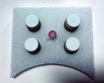 BL21(DE3) Chemically Competent Cells for protein expression