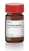 Lysozyme human Lysobac™, recombinant, expressed in rice, lyophilized powder, ≥100,000 units/mg protein