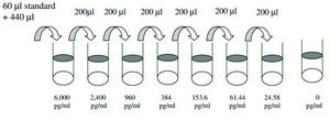 Mouse Dkk-1 ELISA Kit for serum, plasma and cell culture supernatant