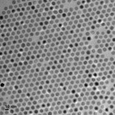 Iron oxide(II,III), magnetic nanoparticles solution 10 nm avg. part. size (TEM), PEG functionalized, 1 mg/mL Fe in H2O, dispersion