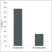 Anti-phospho-BCL-2 (pSer87) antibody produced in rabbit affinity isolated antibody