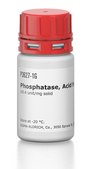 Phosphatase, acide from wheat germ ≥0.4 unit/mg solid