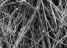 Glass Fiber Membrane Filter, 2.7 μm Pore Size Millipore, filter diam. 47 mm, hydrophilic