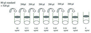 Human IgG1 ELISA Kit for serum, plasma, conditioned medium, urine