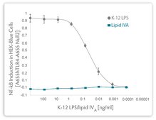 ClearColi BL21(DE3) Electrocompetent Cells, (DUOs) pkg of 12 reactions (6 x 50 µL), Cfu/µg 1 x 109
