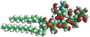 Ganglioside GM1 (Ovine Brain) Avanti Research™ - A Croda Brand