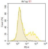 Anti-CD79A/MB-1 Antibody, clone HM57