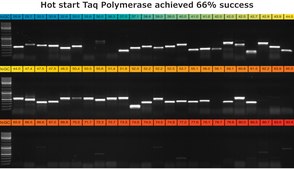 KAPA2G Robust PCR Kit