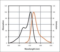 Mix-n-Stain™ CF™ 555 Antibody Labeling Kit (50-100μg)