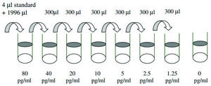 Mouse CXCL16 ELISA Kit for serum, plasma and cell culture supernatant