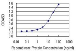 Monoclonal Anti-NAP1L1 antibody produced in mouse clone 2A9, purified immunoglobulin, buffered aqueous solution