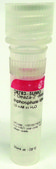 7-Deaza-2′-deoxyguanosine 5′-triphosphate lithium salt 10 mM in H2O
