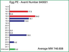 Egg PE Avanti Research™ - A Croda Brand 840021C