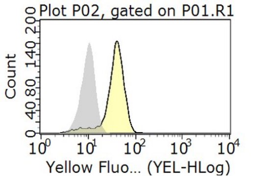 Anti-Syndecan-1 Antibody, clone 11G2.1 clone 11G2.1, from mouse