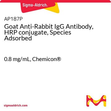 Anticuerpo de burro anti-IgG de conejo, conjugado con HRP, especie adsorbida 0.8&#160;mg/mL, Chemicon&#174;