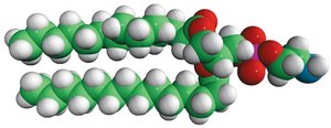 14:0 PE Avanti Research™ - A Croda Brand