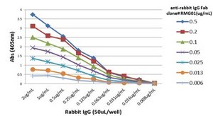 Goat Anti-Rabbit IgG Fab Antibody, clone RMG01 clone RMG01, from goat
