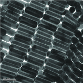 金ナノロッド 10 nm diameter, λmax, 780 nm, dispersion in H2O