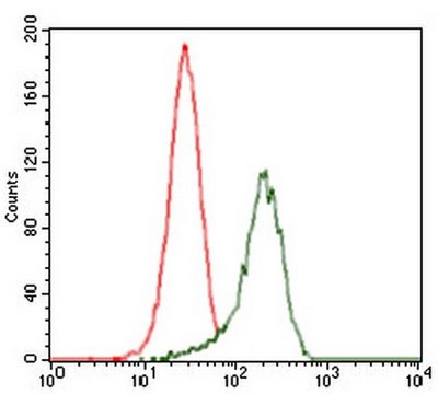 Anti-SHH Antibody, clone 5H4 clone 5H4, from mouse