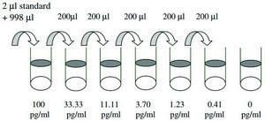 Mouse MCP-5 / CCL12 ELISA Kit for serum, plasma and cell culture supernatant