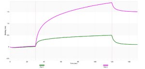 Anti-ATP2A2/SERCA2 Antibody, clone 1G13 ZooMAb® Rabbit Monoclonal recombinant, expressed in HEK 293 cells