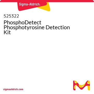 PhosphoDetect Phosphotyrosine Detection Kit