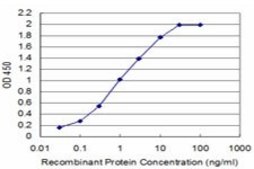 ANTI-SMG1 antibody produced in mouse clone 4E4, purified immunoglobulin, buffered aqueous solution