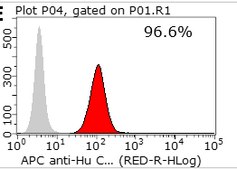 MO-91 Acute Myeloid Leukemia w Minimal Differentiation Human Cell Line