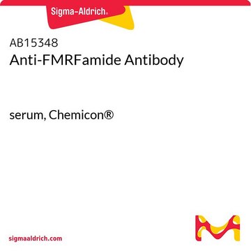 Anti-FMRFamide Antibody serum, Chemicon&#174;