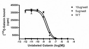 ChemiSCREEN Membrane Preparation Recombinant Human GAL1 Receptor Human GAL1 GPCR membrane preparation for Radioligand binding Assays &amp; GTPγS binding.