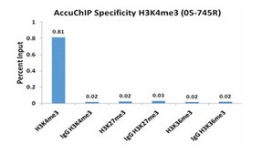 AccuChIP Dimethyl-Histone H3 (Lys27) Chromatin Immunoprecipitation Internal Control target-specific spike-in controls that make ChIP experiments more quantitative and accurate
