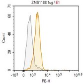 Anti-Perforin-1 Antibody, clone dG9 ZooMAb® Mouse Monoclonal recombinant, expressed in HEK 293 cells