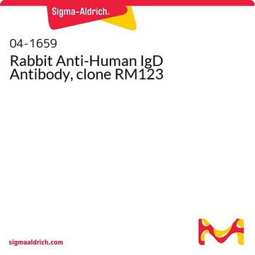 Rabbit Anti-Human IgD Antibody, clone RM123