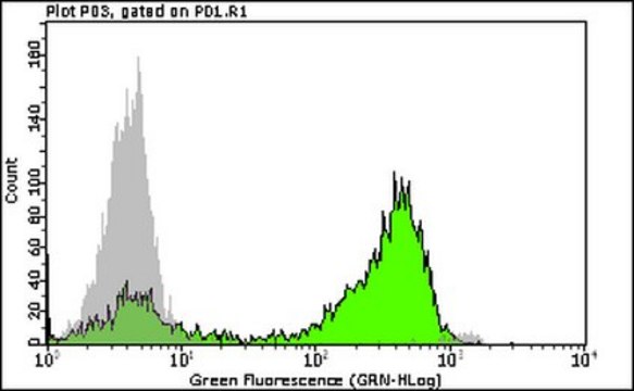 Anti-phospho H3 (Ser10) Antibody, clone 3H10 Alexa Fluor&#8482; 488 clone 3H10, from mouse, ALEXA FLUOR&#8482; 488