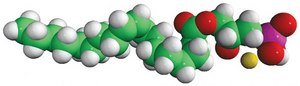 18:1 Lyso PA Avanti Research™ - A Croda Brand
