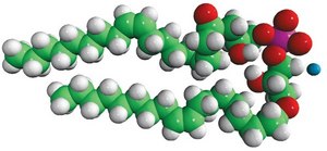 18:1 BMP (S,S) sn-(3-oleoyl-2-hydroxy)-glycerol-1-phospho-sn-1′-(3′-oleoyl-2′-hydroxy)-glycerol (ammonium salt), chloroform