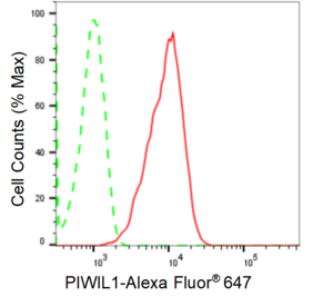 KD-Validated Anti PIWIL1 Antibody, clone 24GB1545, Rabbit Monoclonal clone 24GB1545, recombinant rabbit monoclonal, expressed in HEK293 cells