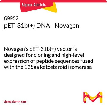 pET-31b(+) DNA - Novagen Novagen&#8242;s pET-31b(+) vector is designed for cloning and high-level expression of peptide sequences fused with the 125aa ketosteroid isomerase protein.