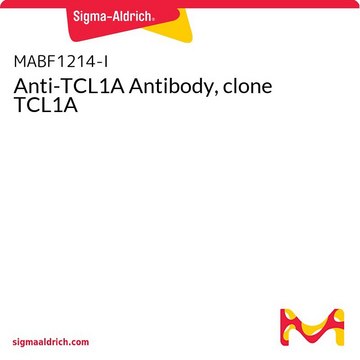 Anti-TCL1A Antibody, clone TCL1A