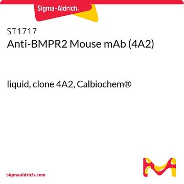 Anti-BMPR2 Mouse mAb (4A2) liquid, clone 4A2, Calbiochem&#174;
