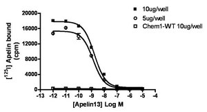 ChemiSCREEN Membrane Preparation Recombinant Human APJ Apelin Receptor Human APJ GPCR membrane preparation for Radioligand binding Assays &amp; GTPγS binding.